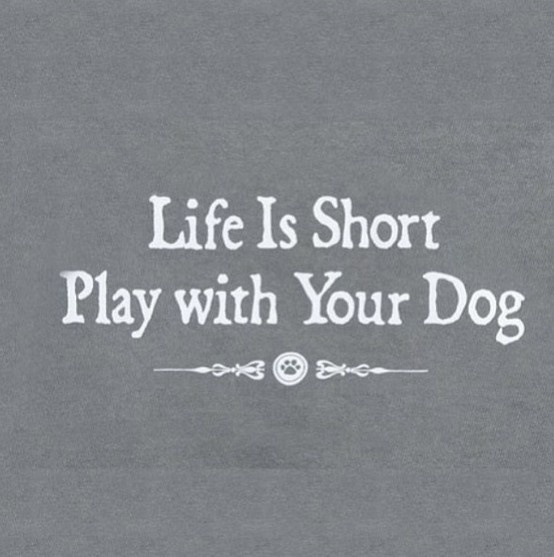 Life Is Short, Play with Your Dog