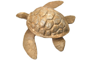 Bio Floating Turtle