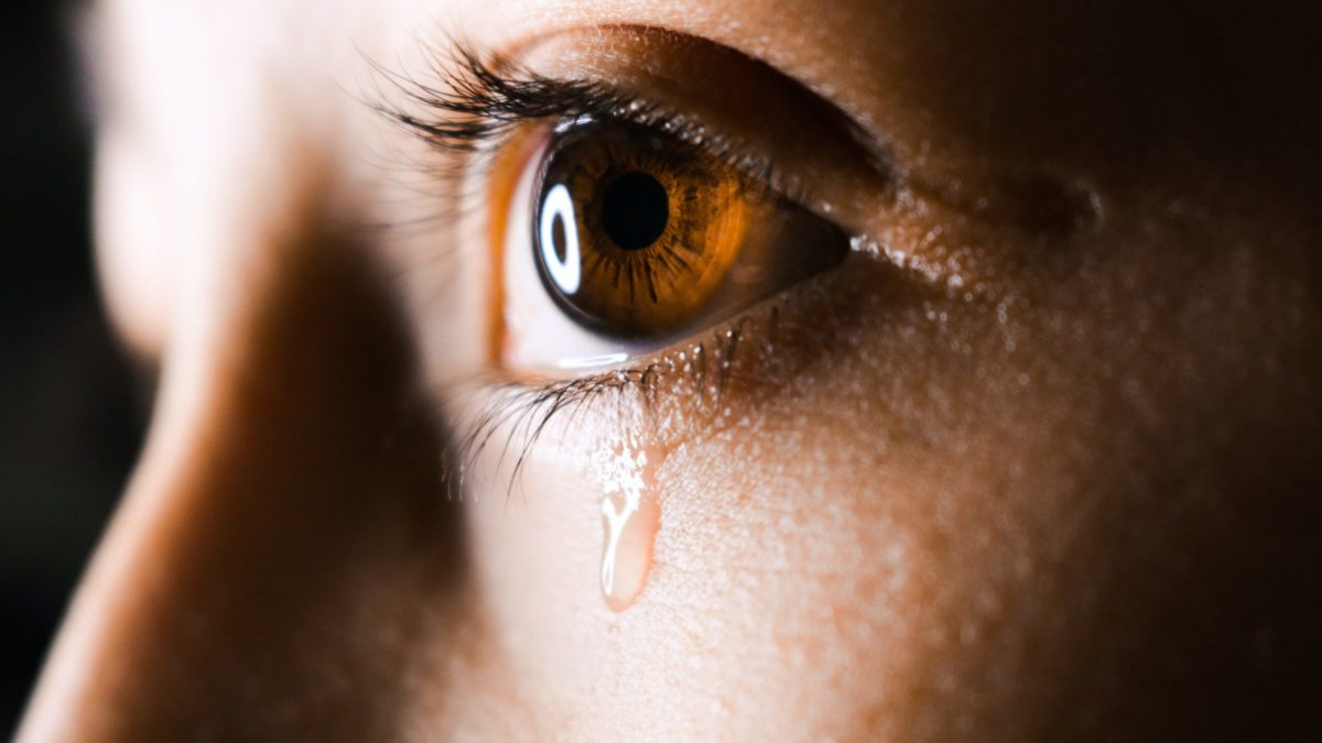 Why You Should Cry Today: Rui-katsu & the Tear Teacher
