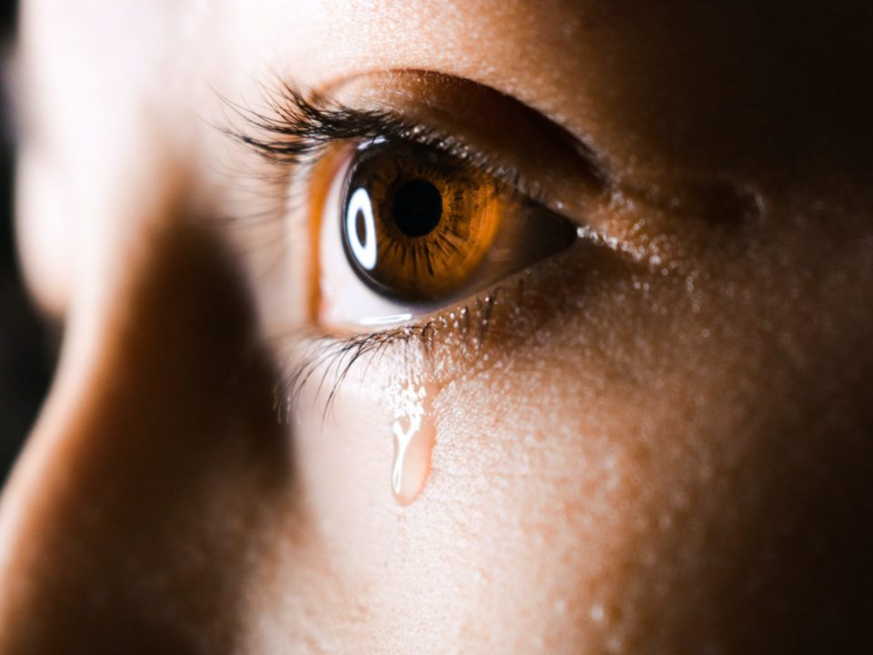 Why You Should Cry Today: Rui-katsu & the Tear Teacher