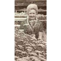 Julia Marjorie Miller Obituary