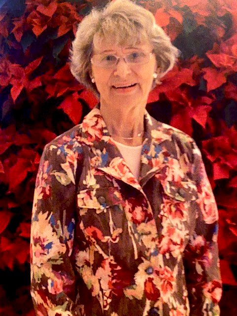 Linda Ellen Johnson Obituary